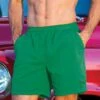 Wintergreen Dyed Crazyshorts® Twill Shorts 1 Wintergreen Dyed Crazyshorts® Twill Shorts -Crazyshirts Online Shop 10f09356 b8c1 4952 bbc3 053e00b1568f