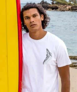 Koholas - White Short Sleeve Pima T-Shirt -Crazyshirts Online Shop 58c67053 24a8 442c 8634 0ef9aaf53cc7